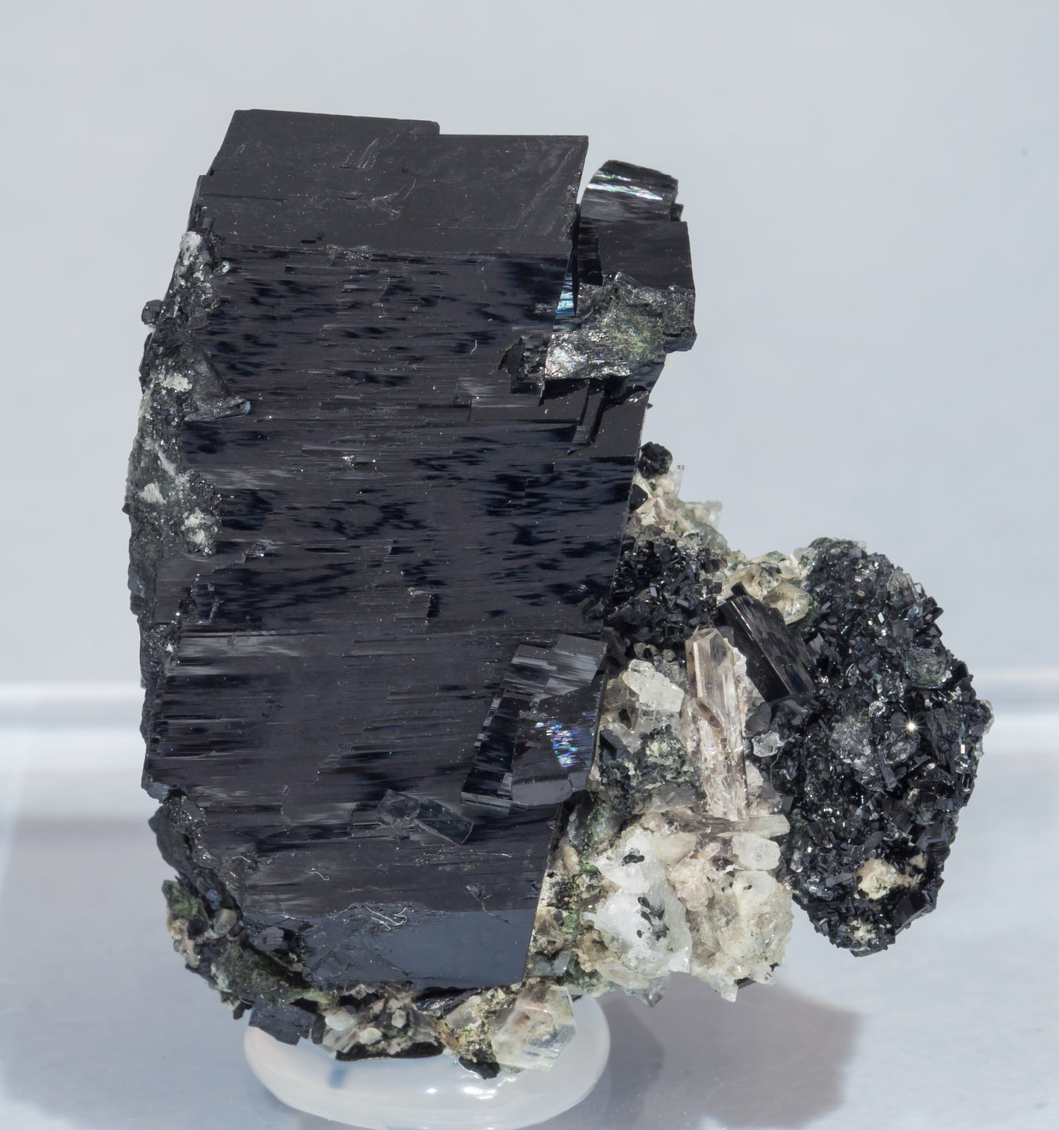 specimens/s_imagesAH1/Augite-NC67AH1f.jpg