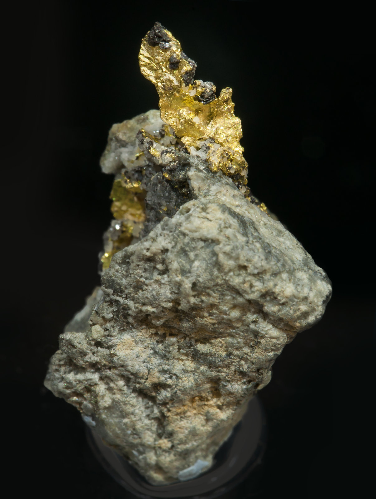 specimens/s_imagesAH1/Gold-EP68AH1f.jpg