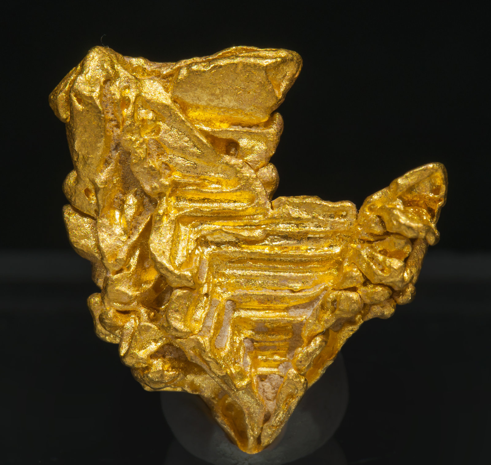 specimens/s_imagesAH1/Gold-TG14AH1f.jpg