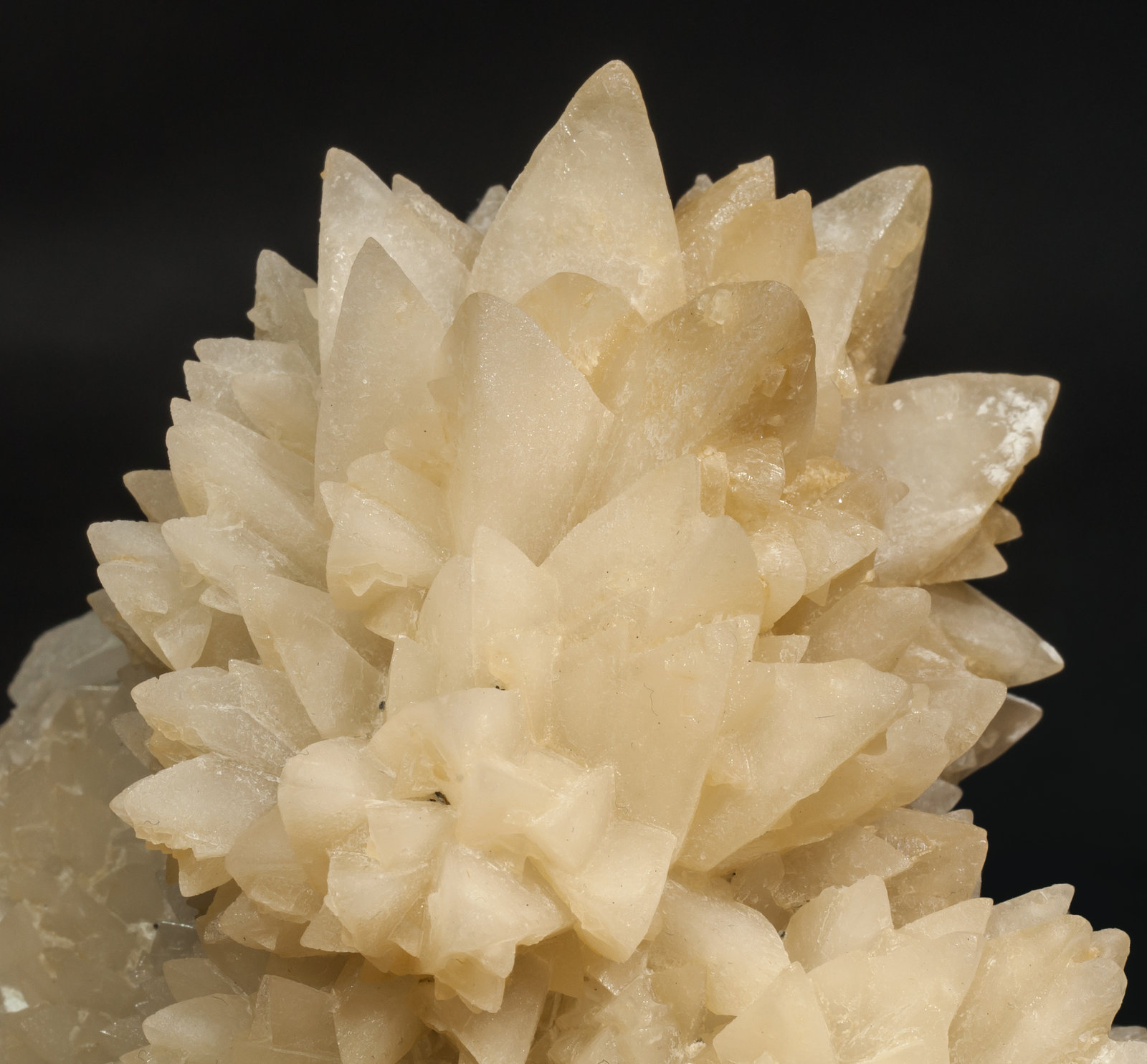 specimens/s_imagesAH2/Calcite-DF16AH2d.jpg