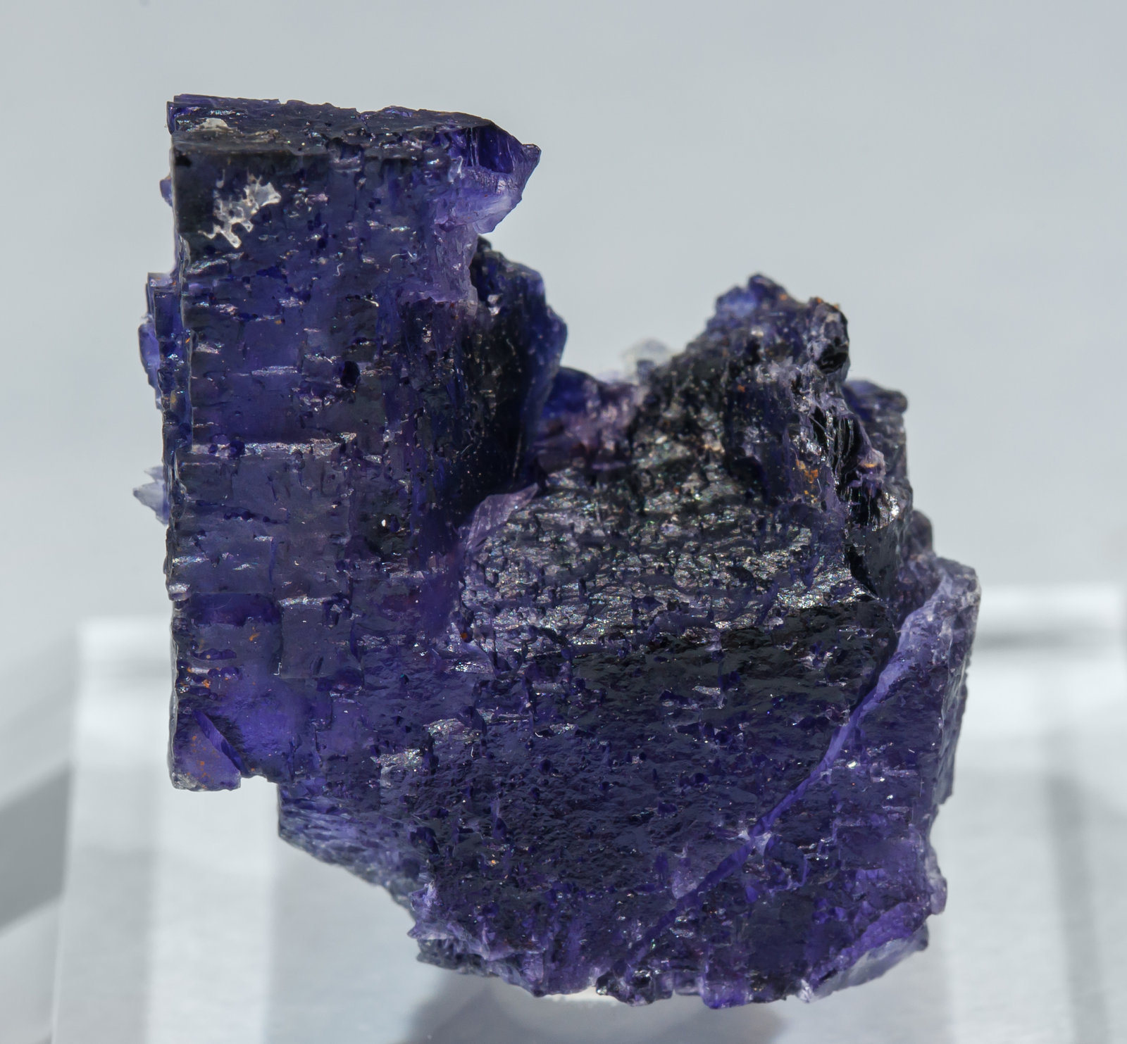 specimens/s_imagesAH2/Fluorite-ND96AH2f.jpg