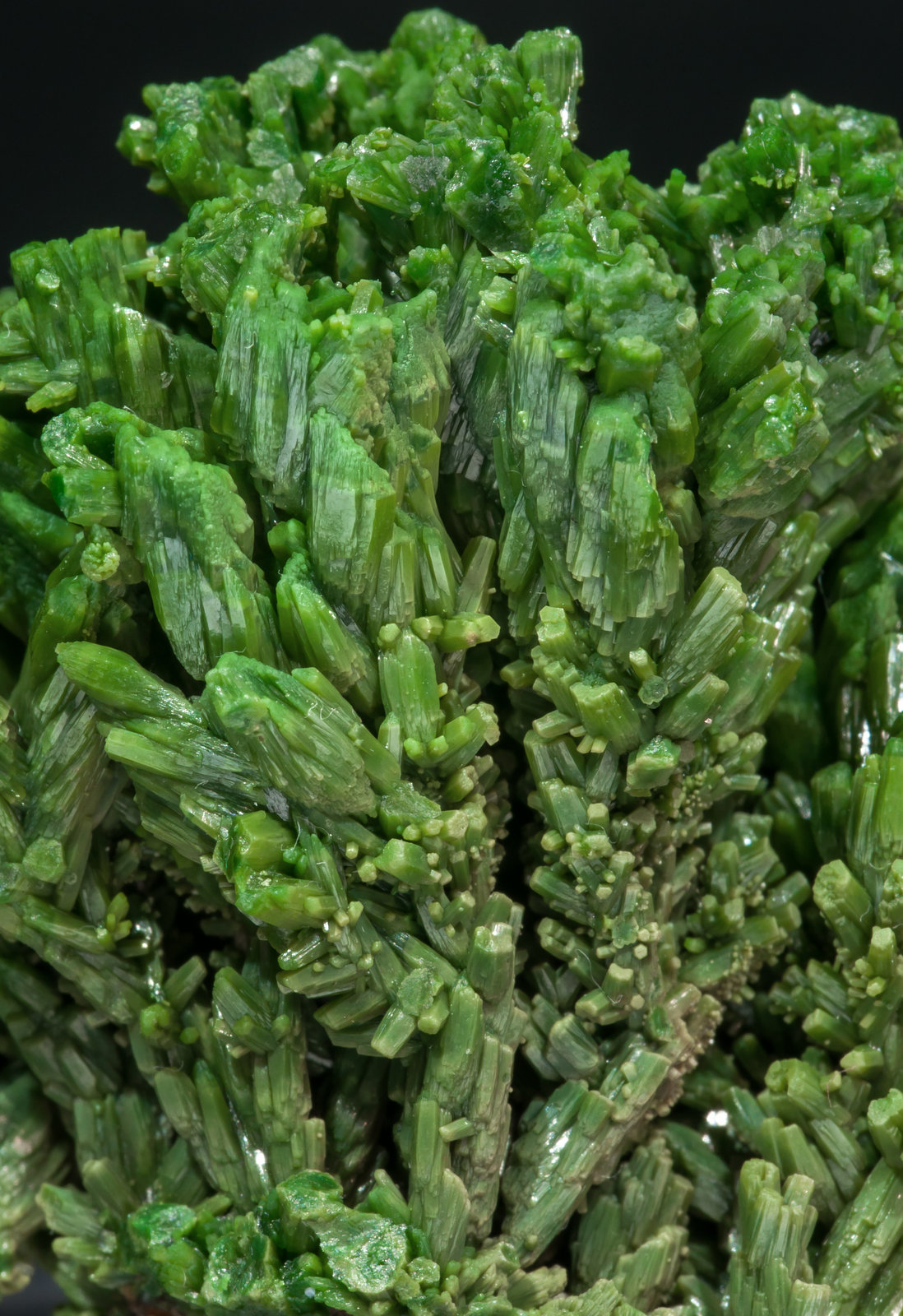 specimens/s_imagesAH2/Pyromorphite-NB89AH2d.jpg