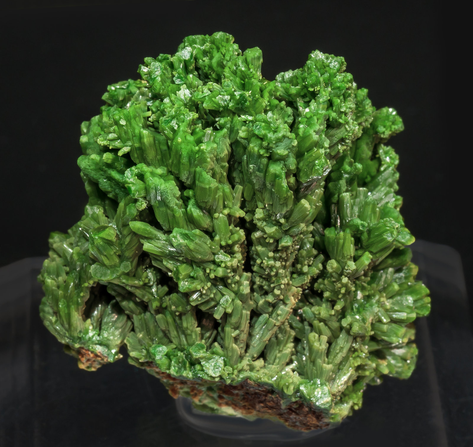 specimens/s_imagesAH2/Pyromorphite-NB89AH2f.jpg
