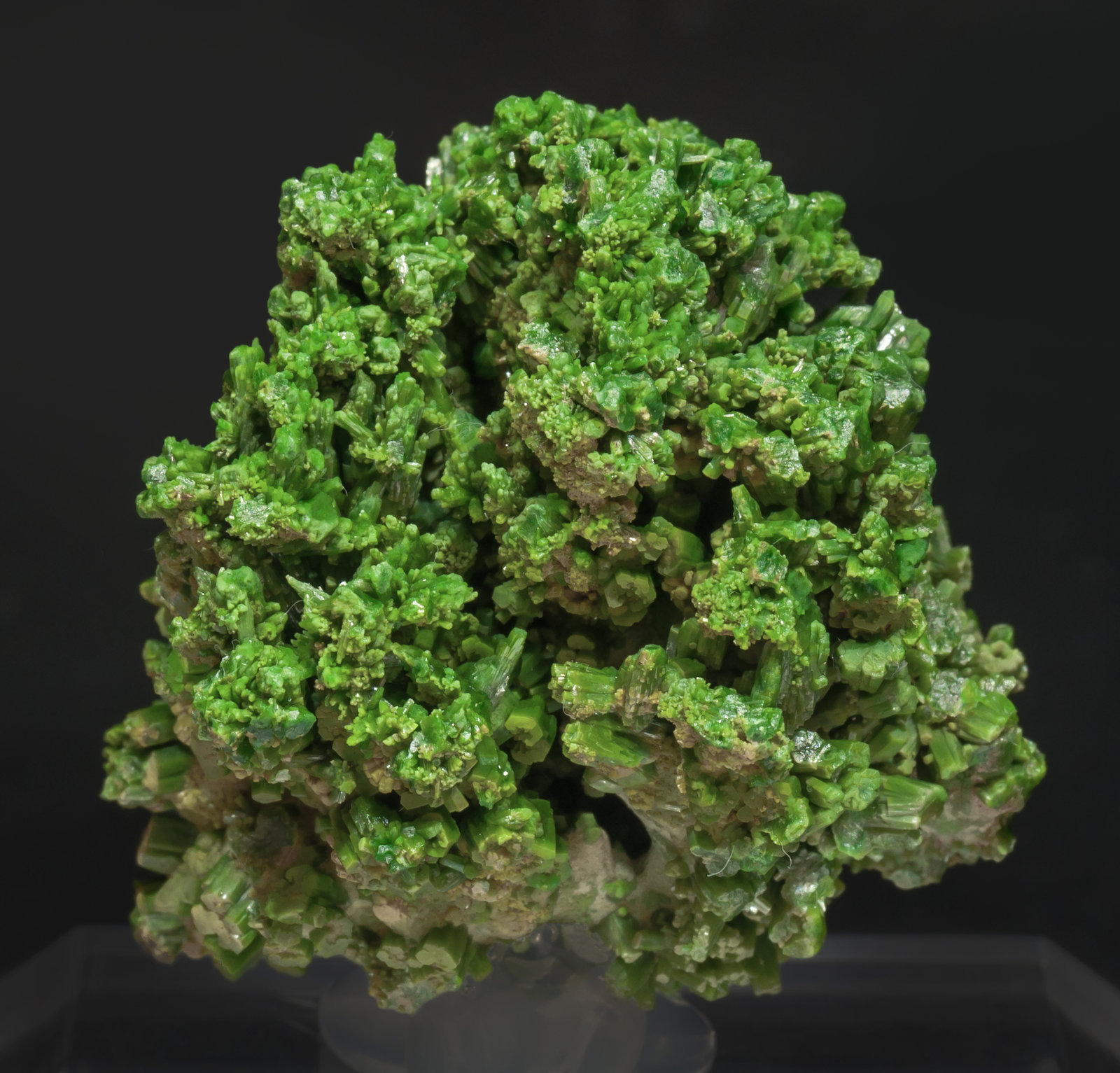 specimens/s_imagesAH2/Pyromorphite-NB89AH2r.jpg