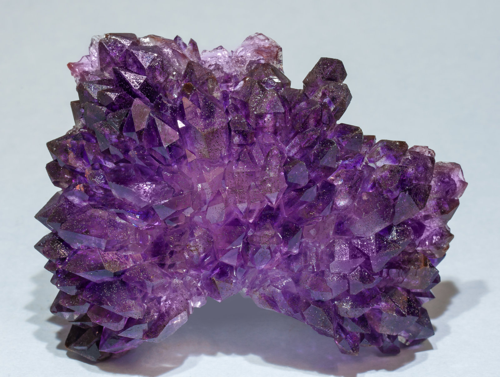 specimens/s_imagesAH2/Quartz_amethyst-TJ56AH2f.jpg