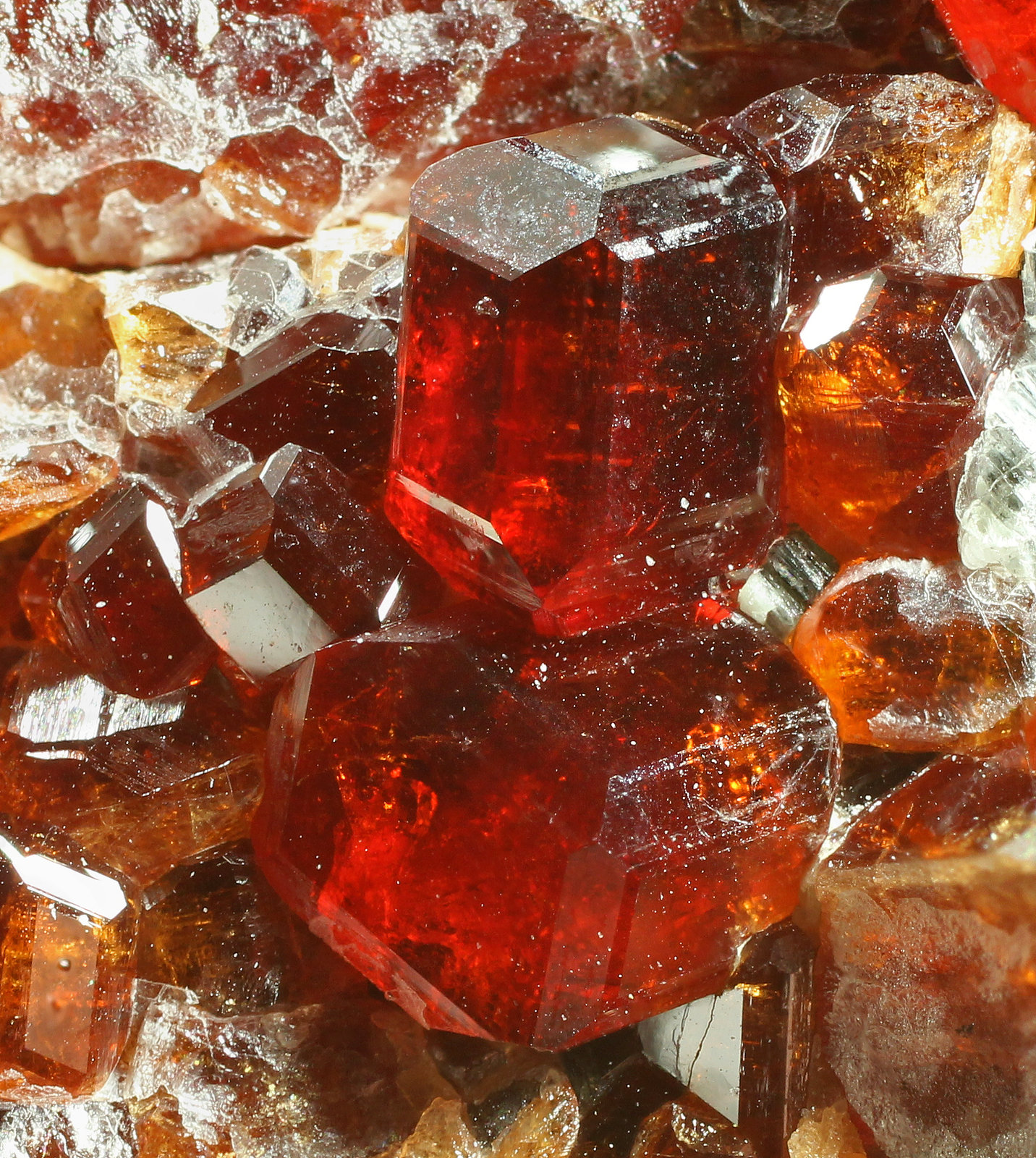 specimens/s_imagesAH3/Grossular_hessonite-TP48AH3_1048_d2.jpg