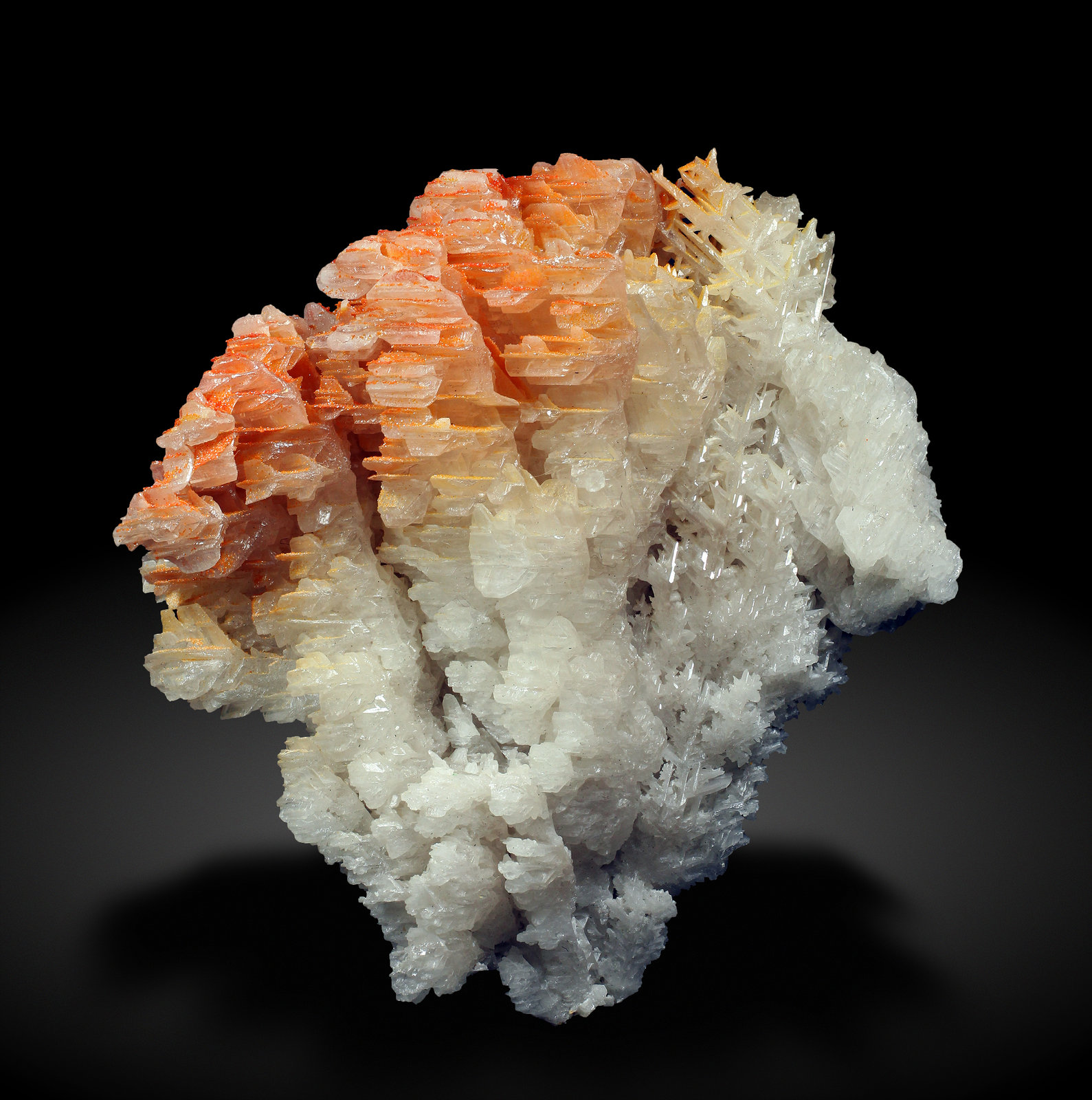 specimens/s_imagesAH3/Mimetite-EB50AH3_2948_f.jpg