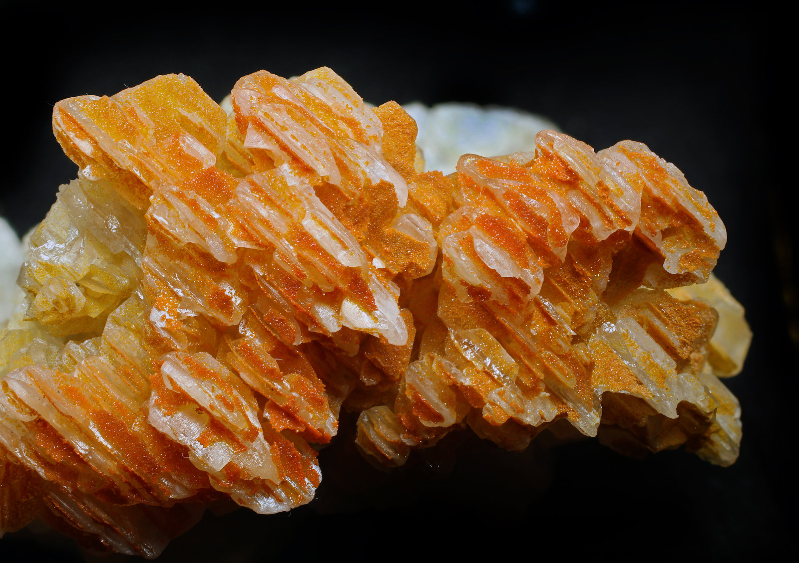 specimens/s_imagesAH3/Mimetite-EB50AH3_2953_d1.jpg