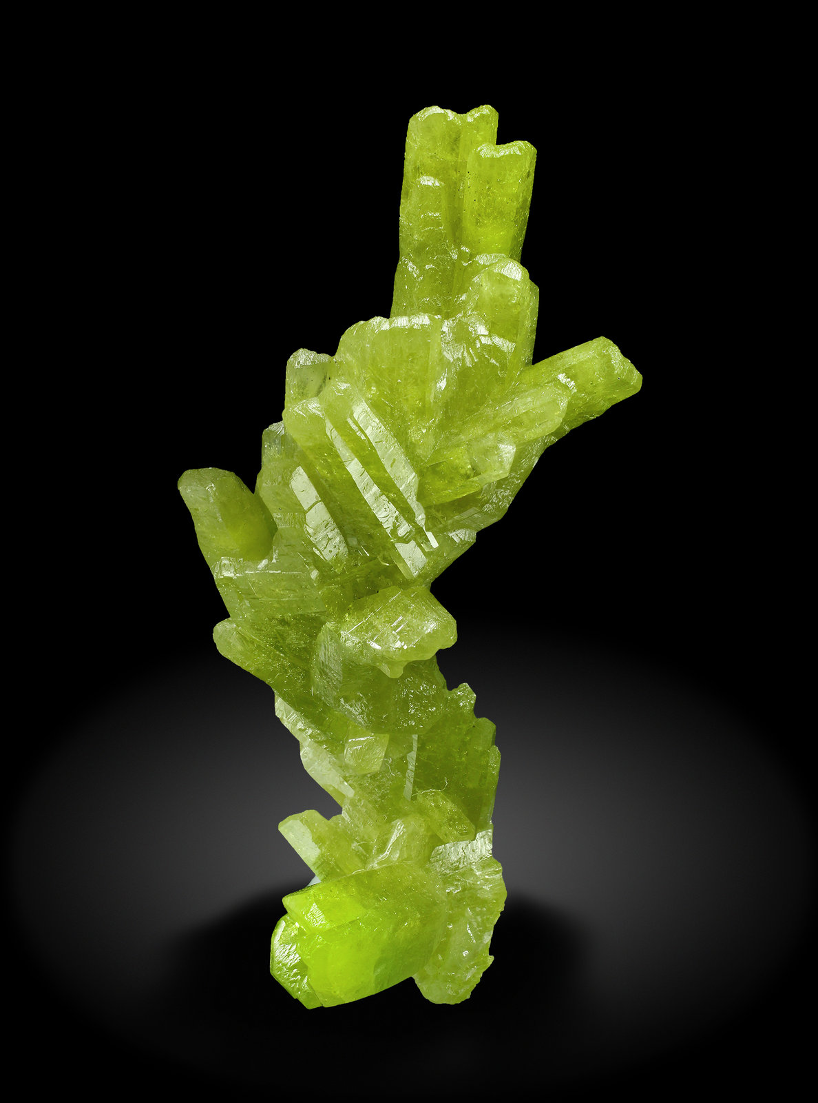 specimens/s_imagesAH3/Pyromorphite-TB49AH3_2780_f.jpg