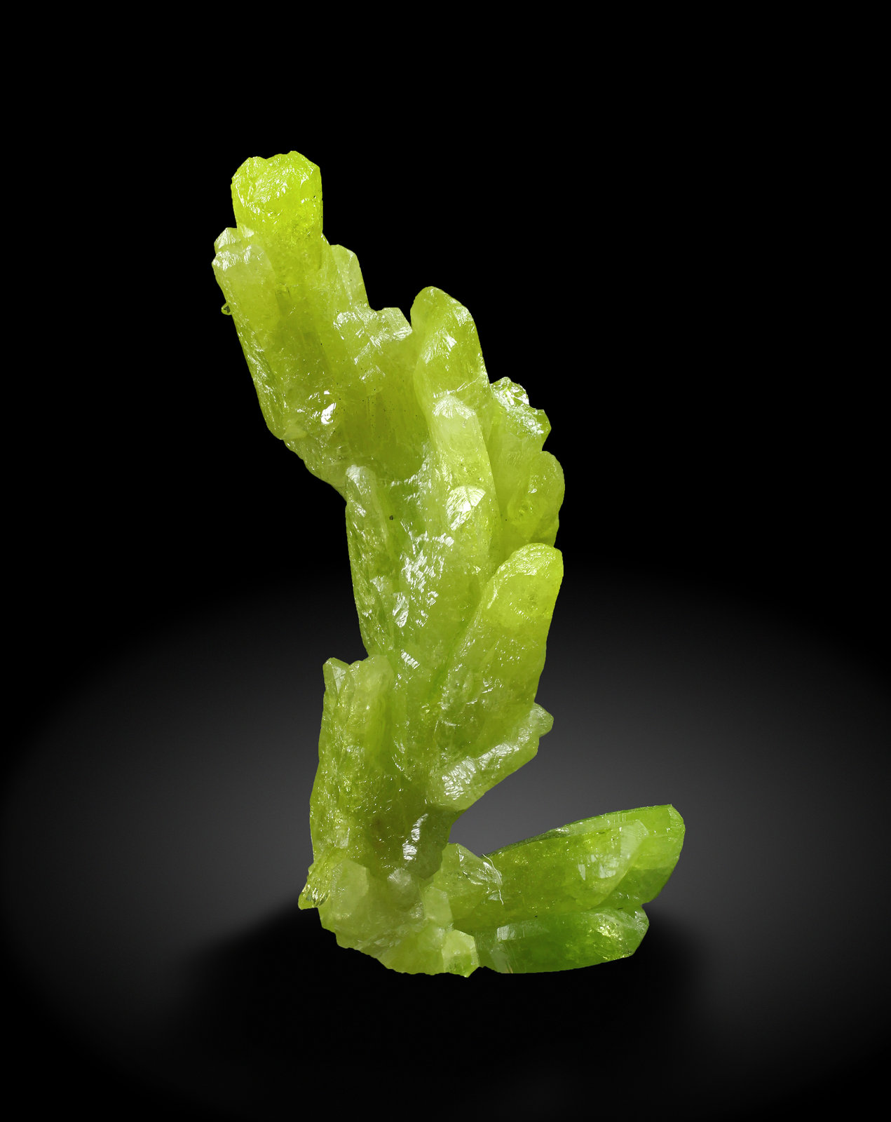 specimens/s_imagesAH3/Pyromorphite-TB49AH3_2794_s.jpg