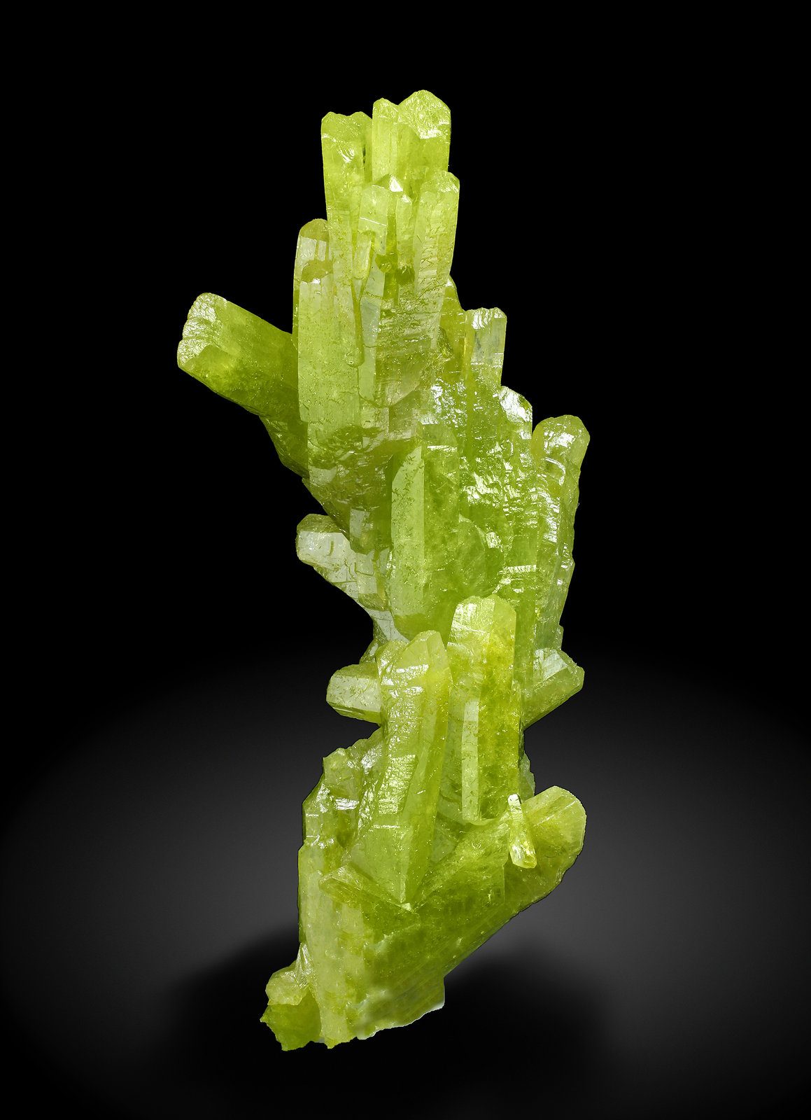specimens/s_imagesAH3/Pyromorphite-TB49AH3_2803_r.jpg