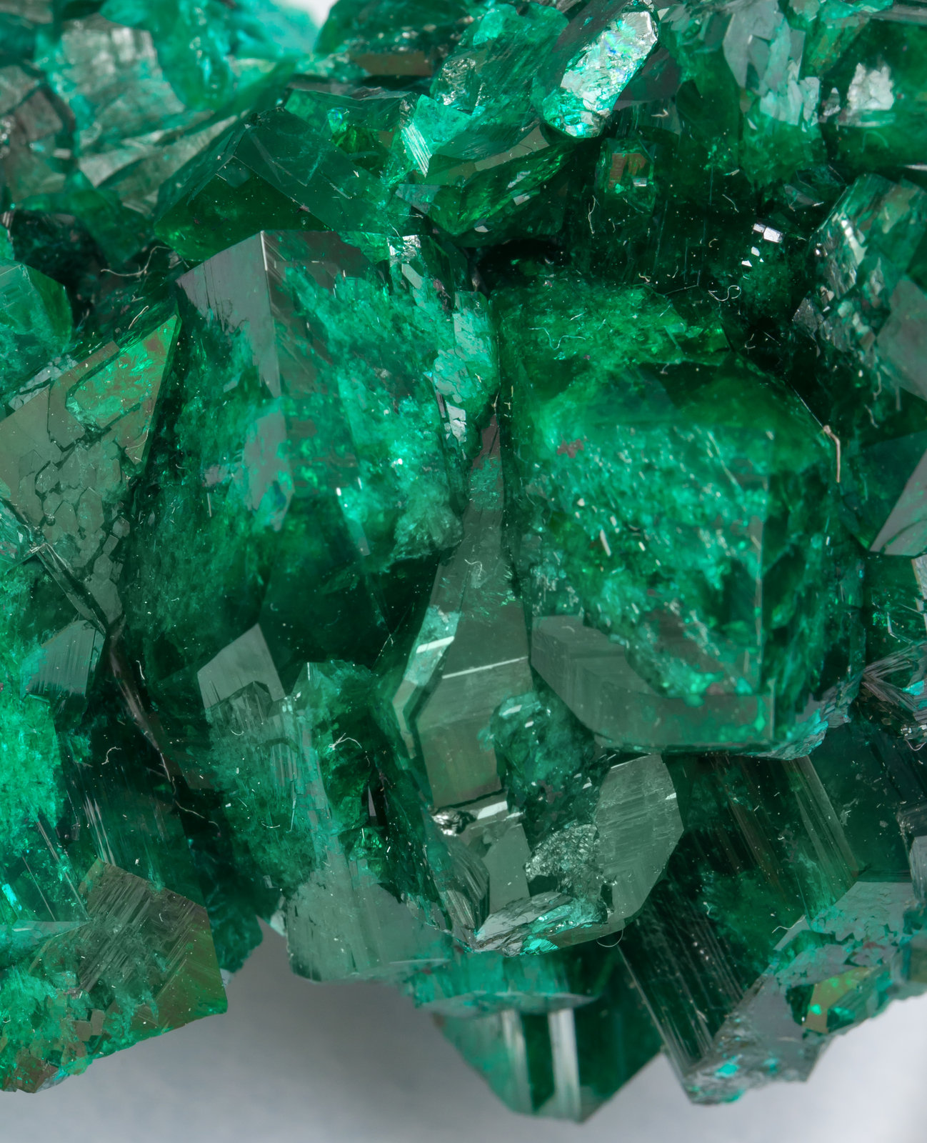 specimens/s_imagesAH4/Dioptase-CP69AH4d.jpg