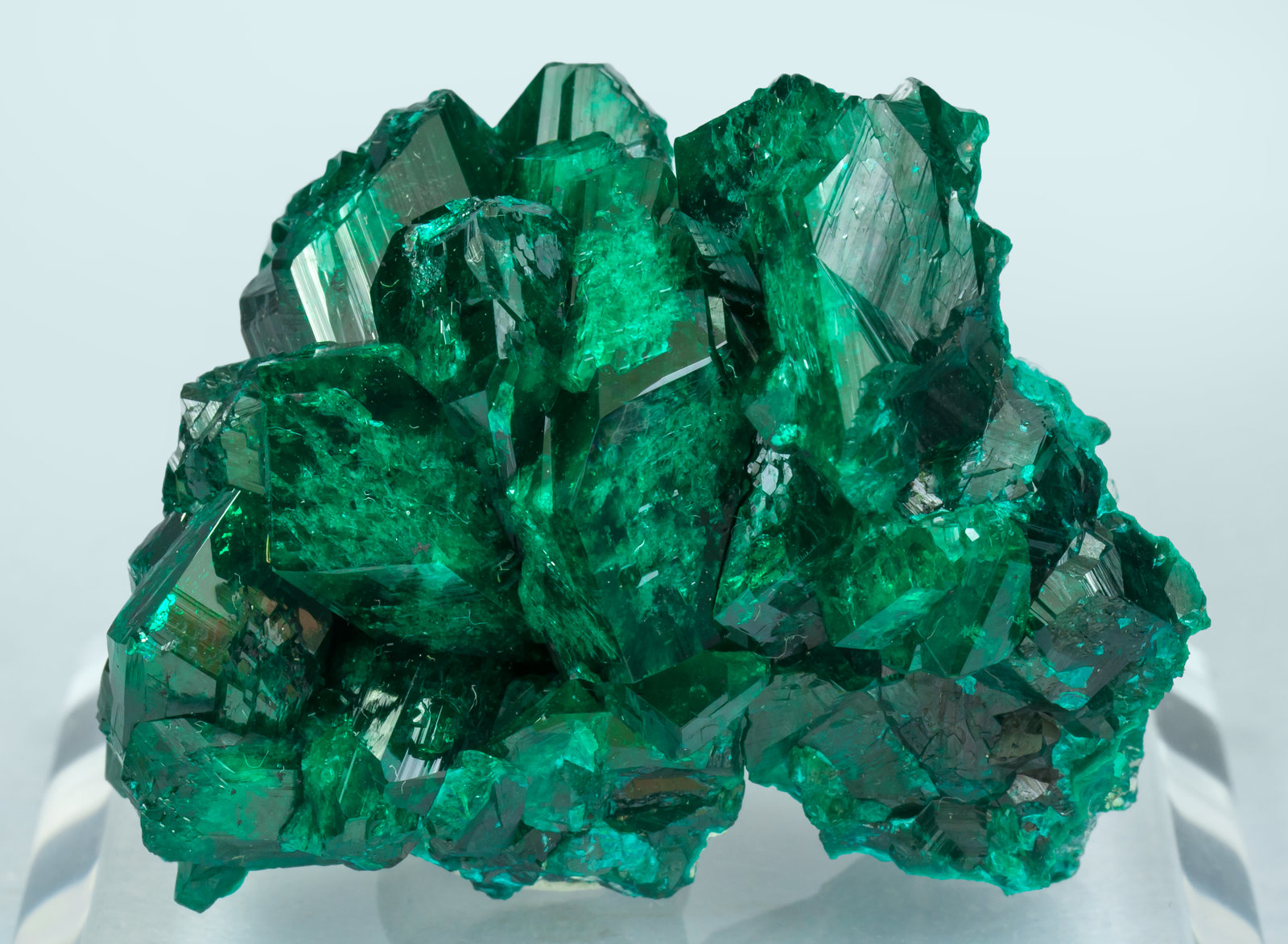 specimens/s_imagesAH4/Dioptase-CP69AH4f.jpg