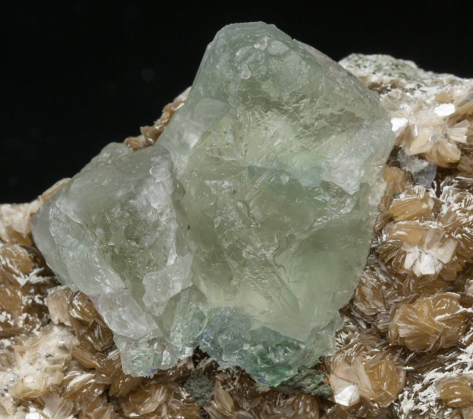 specimens/s_imagesAH4/Fluorite-NB14AH4d.jpg