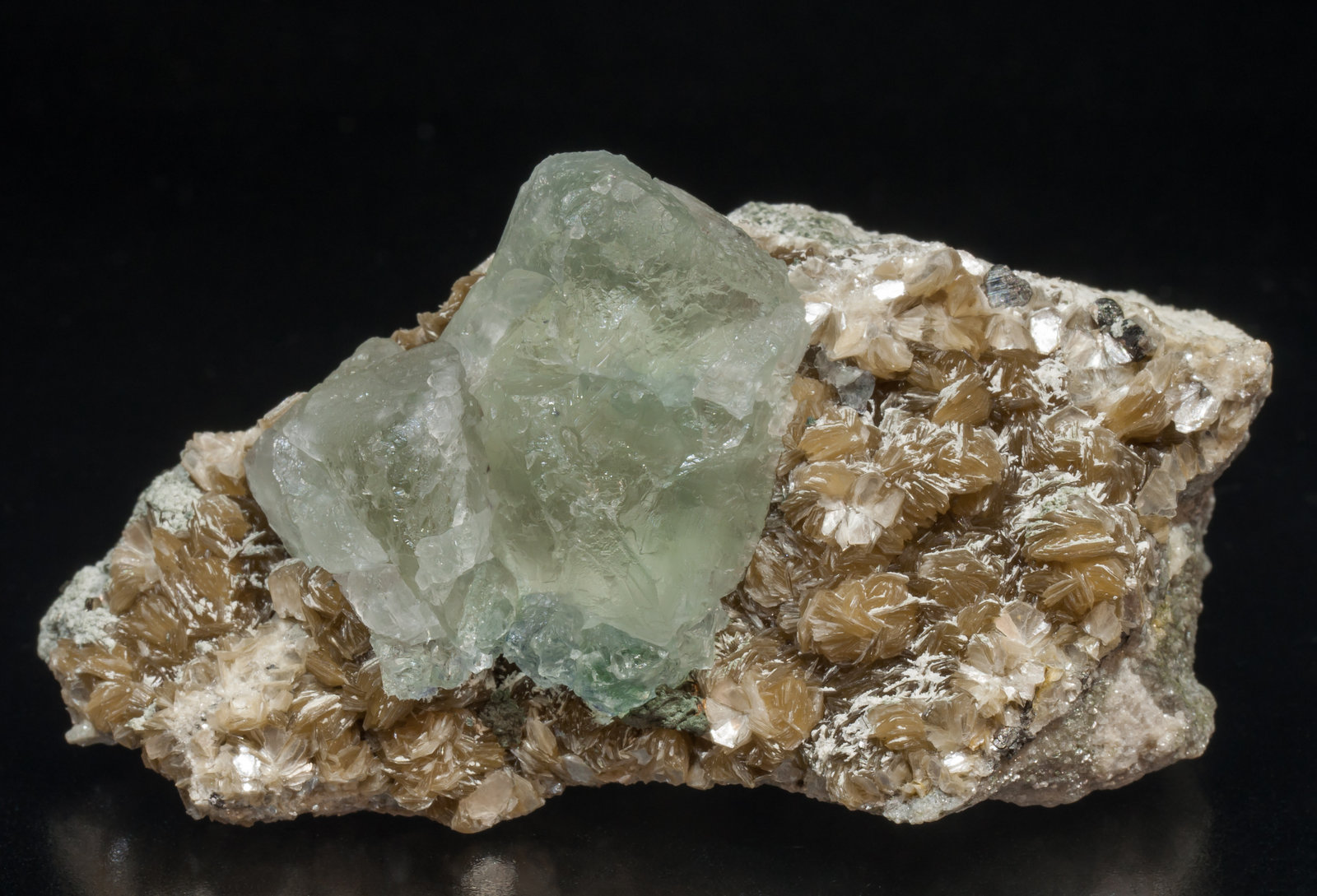 specimens/s_imagesAH4/Fluorite-NB14AH4f.jpg