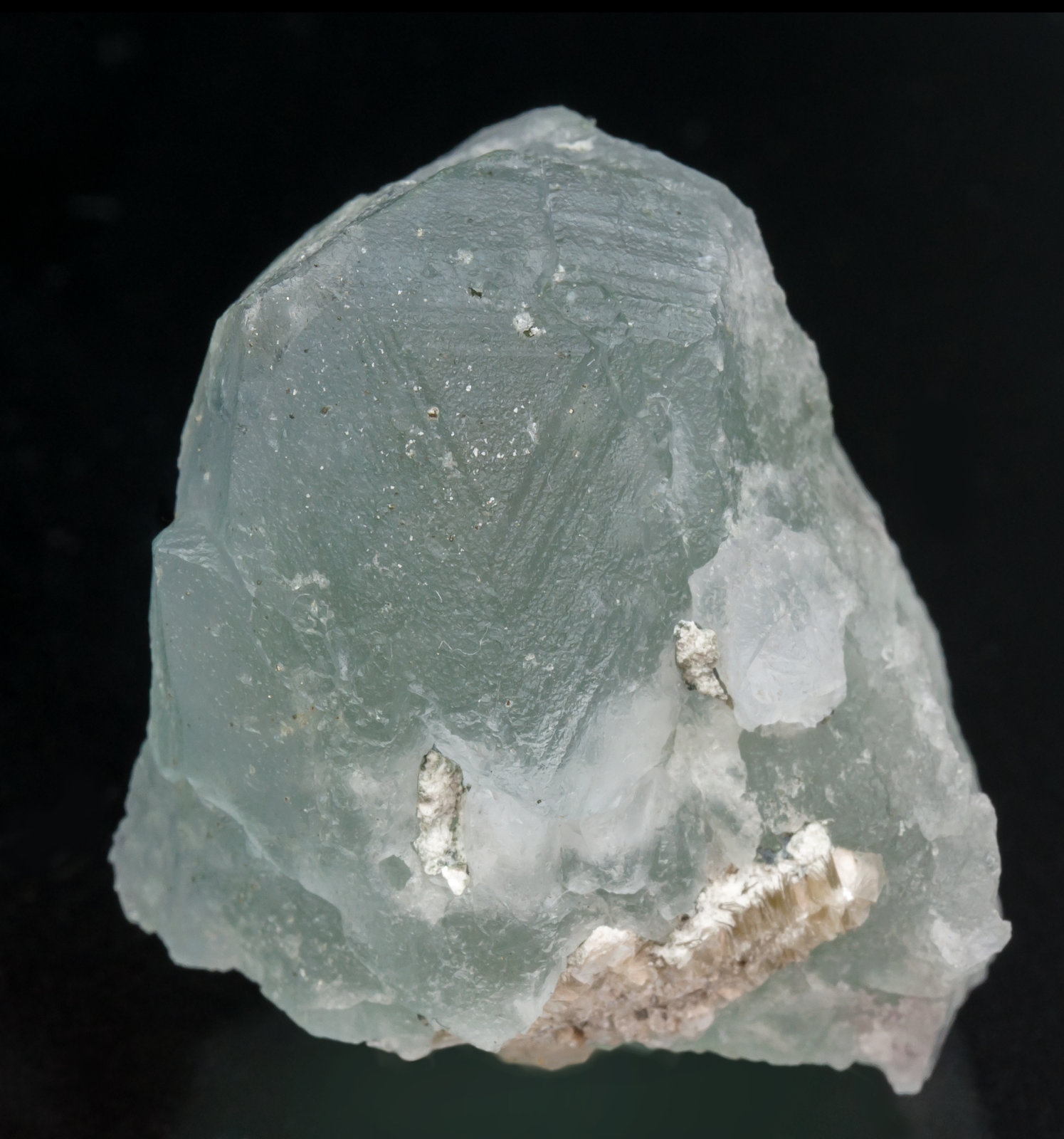 specimens/s_imagesAH4/Fluorite-NG9AH4f.jpg
