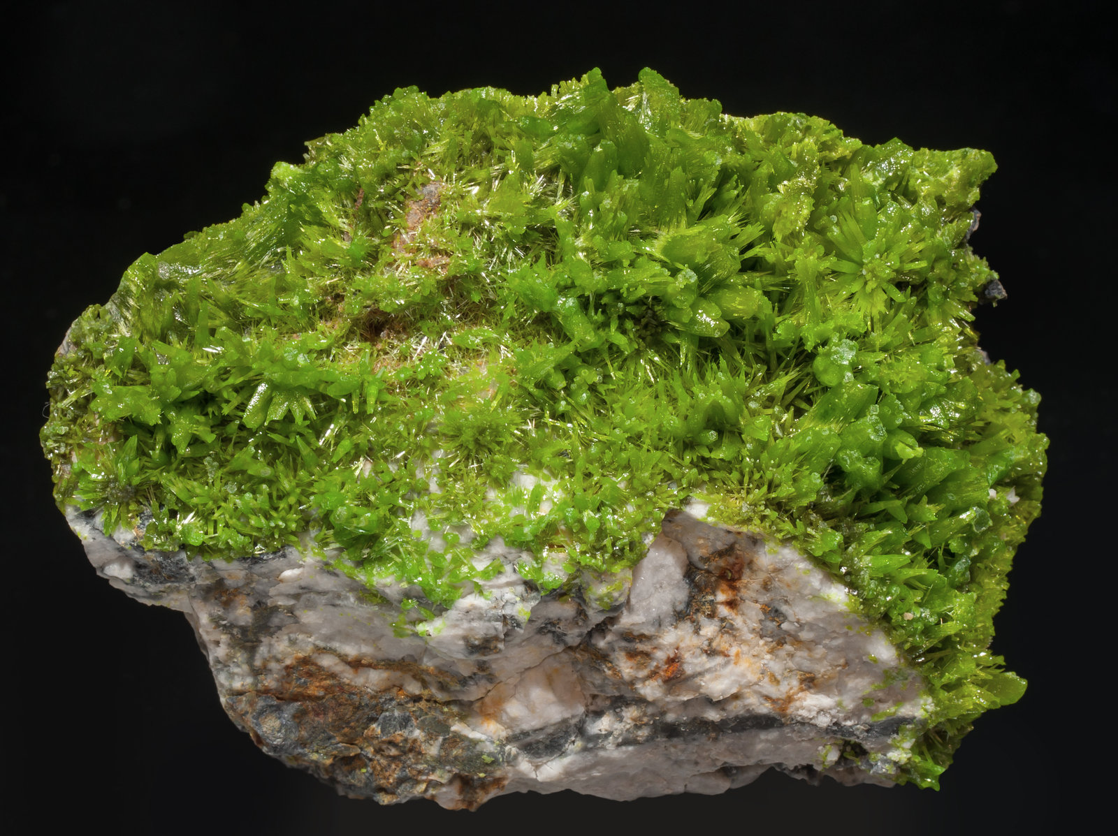 specimens/s_imagesAH4/Pyromorphite-MR37AH4f.jpg