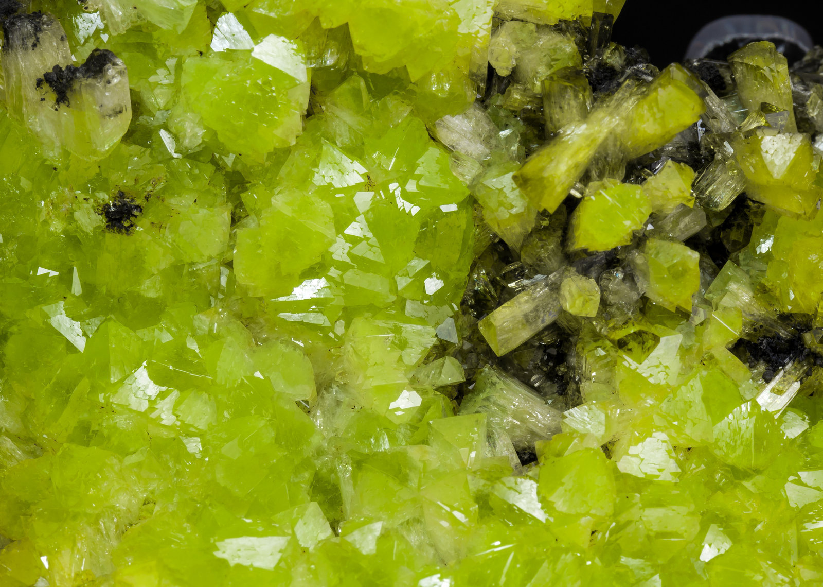 specimens/s_imagesAH5/Adamite_cuprian-PQ94AH5d.jpg