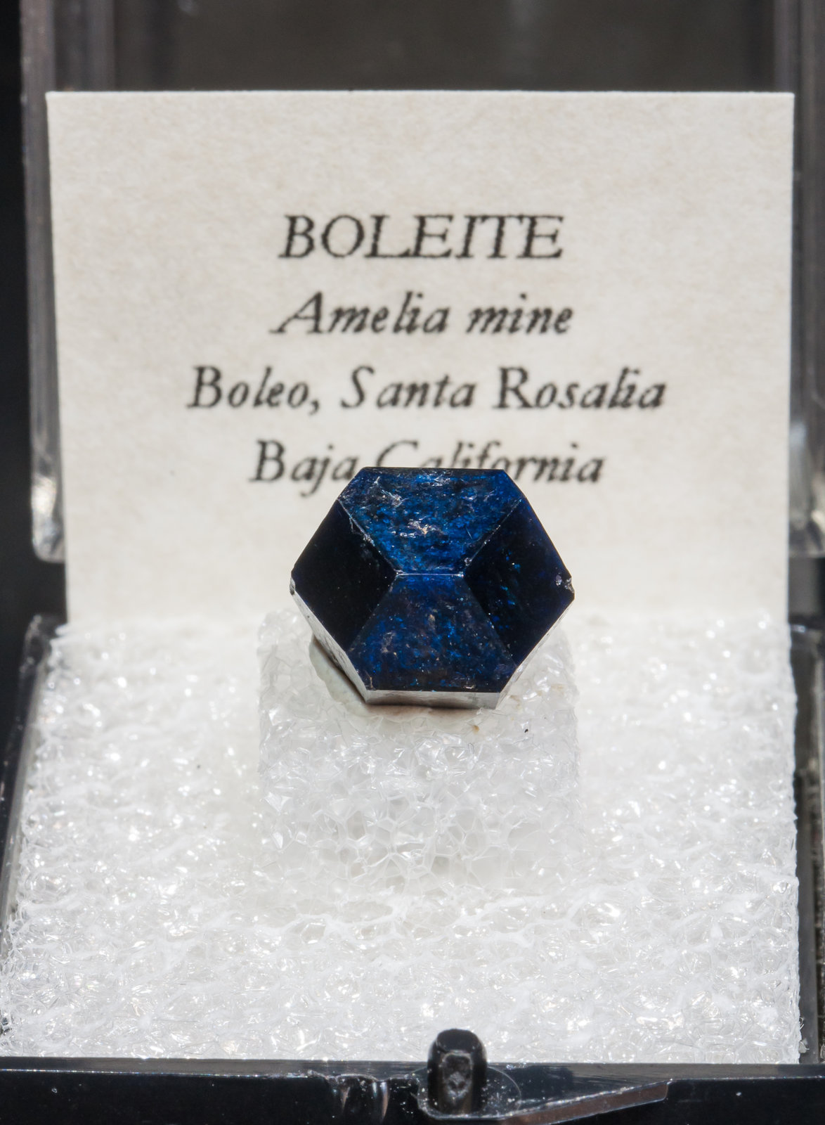 specimens/s_imagesAH5/Boleite-TV62AH5f.jpg