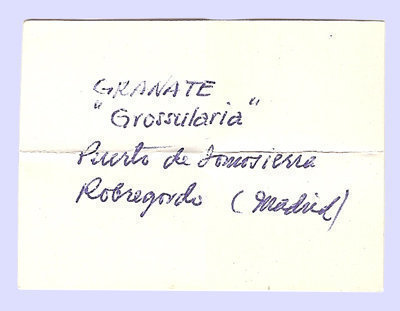 specimens/s_imagesAH5/Grossular-DT16AH5e.jpg