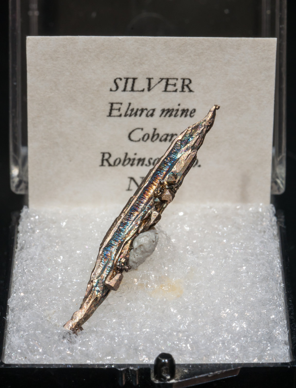 specimens/s_imagesAH5/Silver-TJ86AH5f.jpg