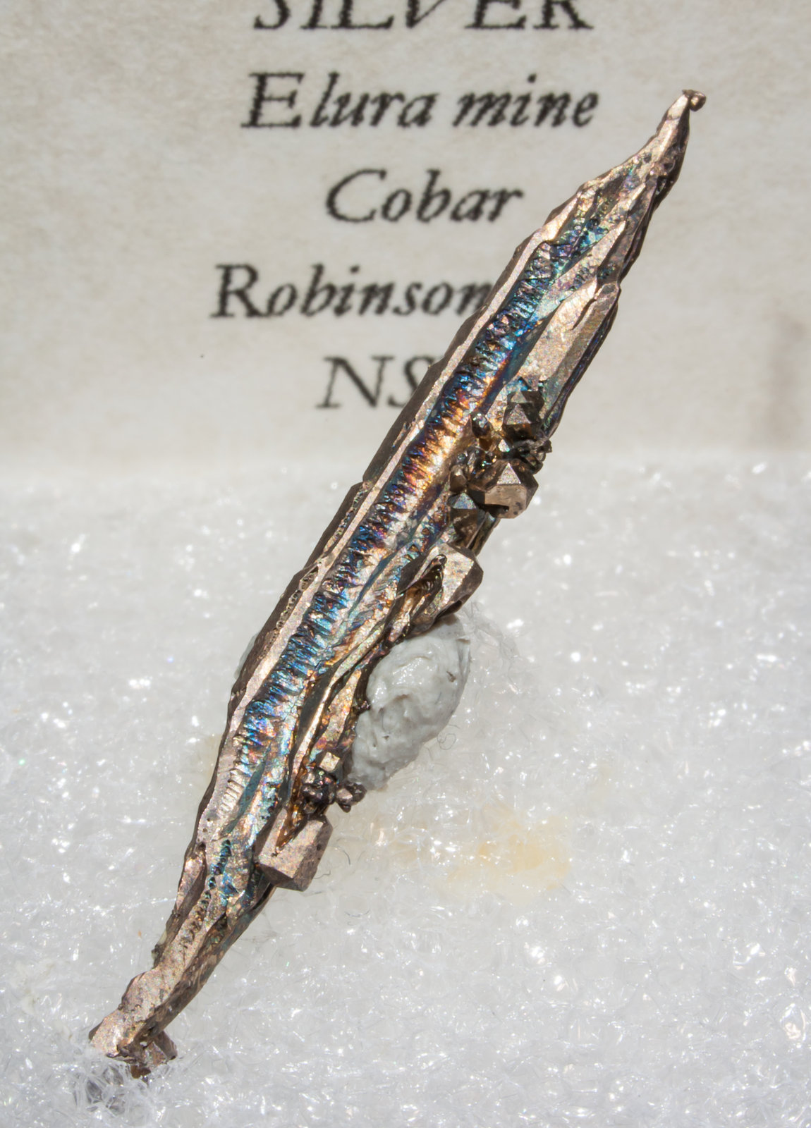 specimens/s_imagesAH5/Silver-TJ86AH5f2.jpg