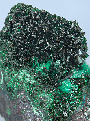 Atacamite with Brochantite on Cuprite. 