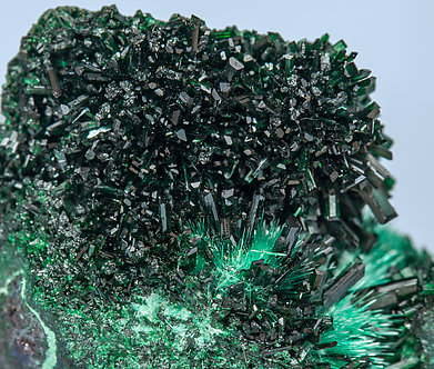 Atacamite with Brochantite on Cuprite. 