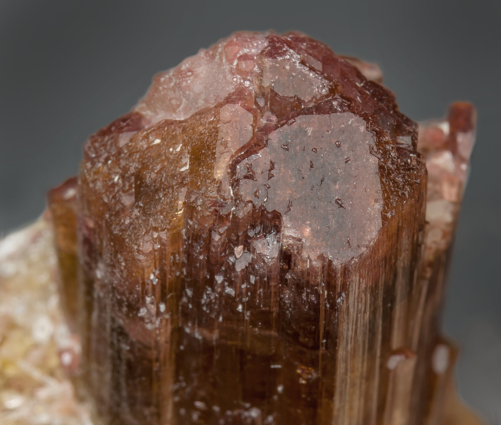 specimens/s_imagesAH6/Elbaite_rubellite-EX74AH6d2.jpg