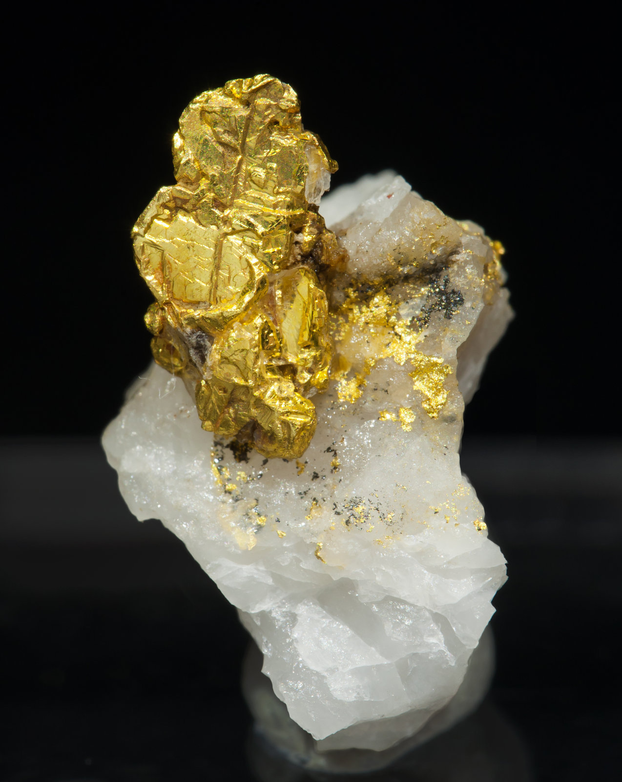 specimens/s_imagesAH6/Gold-CM86AH6f.jpg