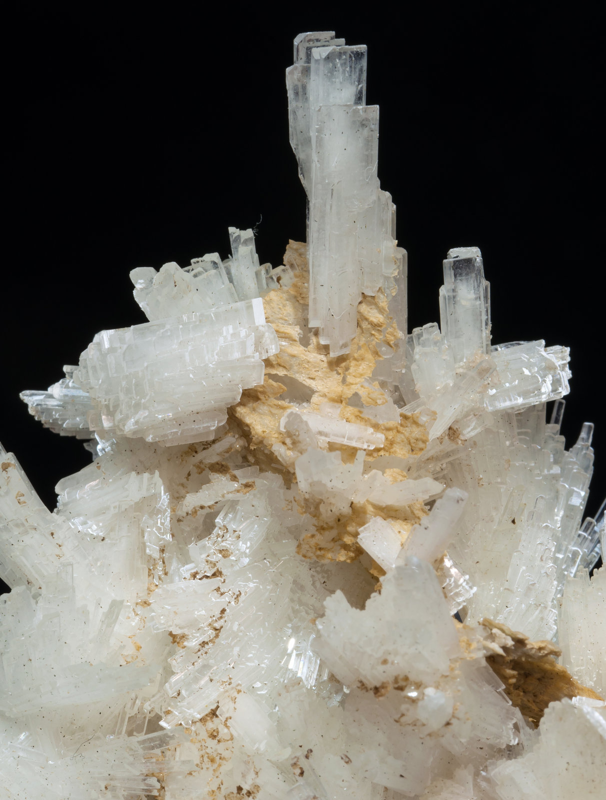 specimens/s_imagesAH6/Pectolite-TM87AH6d.jpg