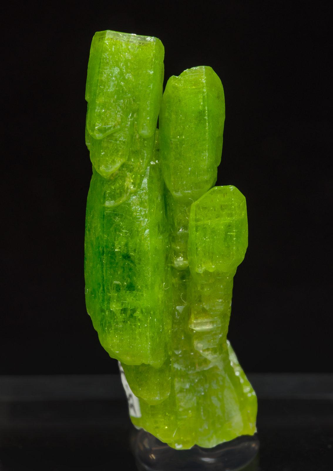 specimens/s_imagesAH6/Pyromorphite-NG48AH6f.jpg
