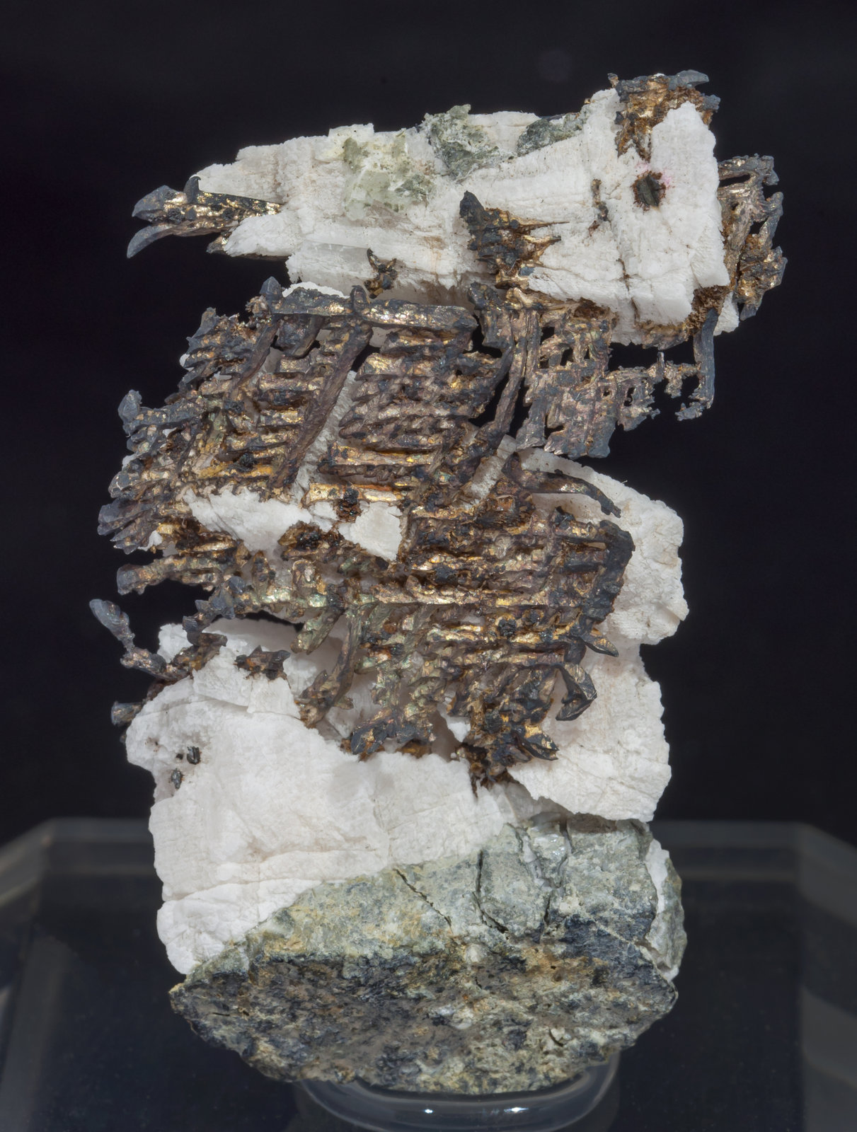 specimens/s_imagesAH6/Silver-TQ76AH6f.jpg