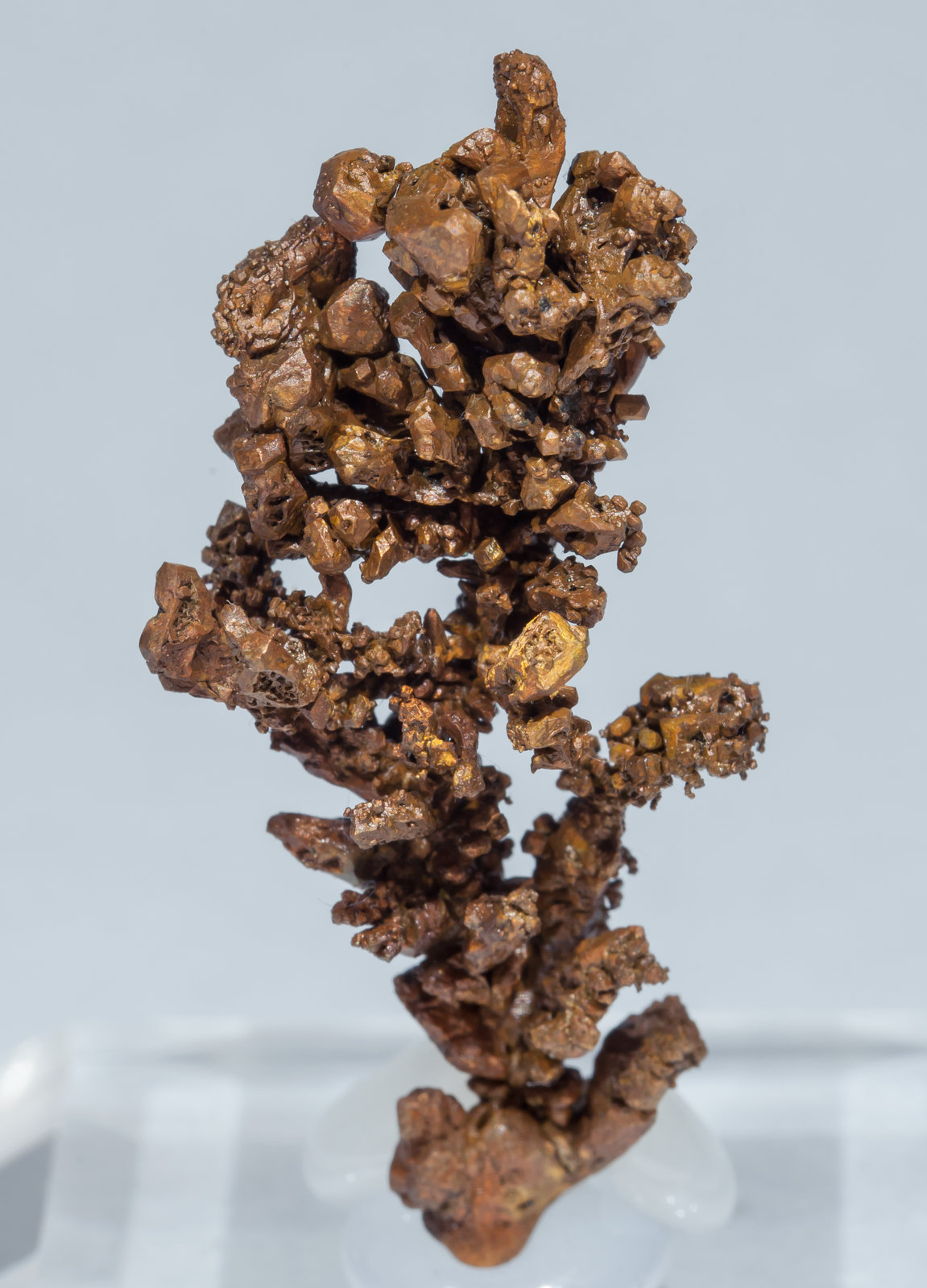 specimens/s_imagesAH7/Copper-TJ13AH7f.jpg