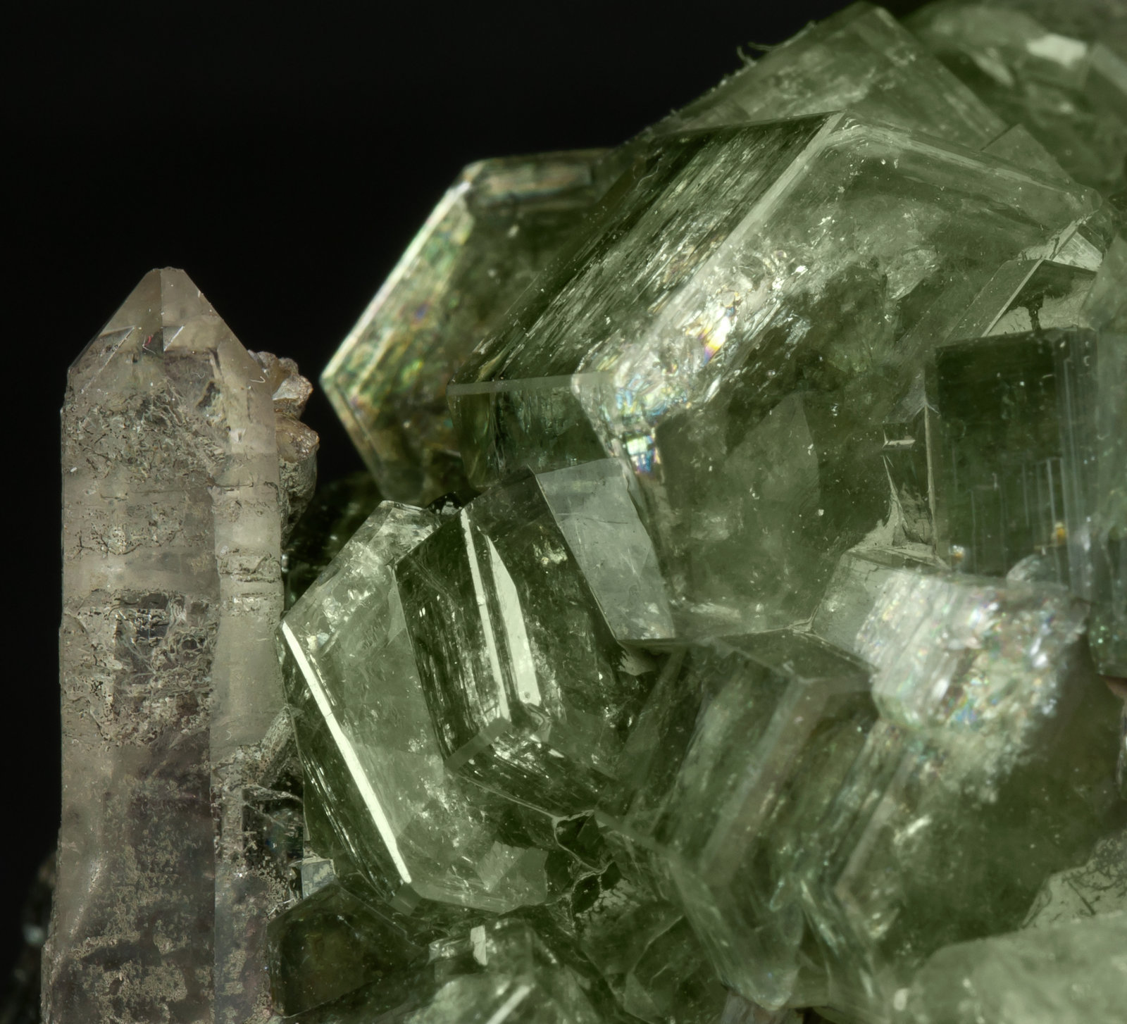 specimens/s_imagesAH7/Fluorapatite-NA50AH7d1.jpg