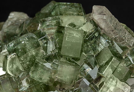 Fluorapatite with Quartz, Arsenopyrite, Muscovite and Chlorite. 