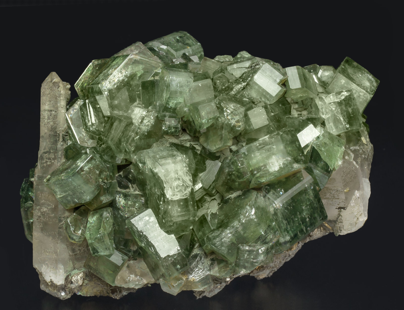 specimens/s_imagesAH7/Fluorapatite-NA50AH7f.jpg