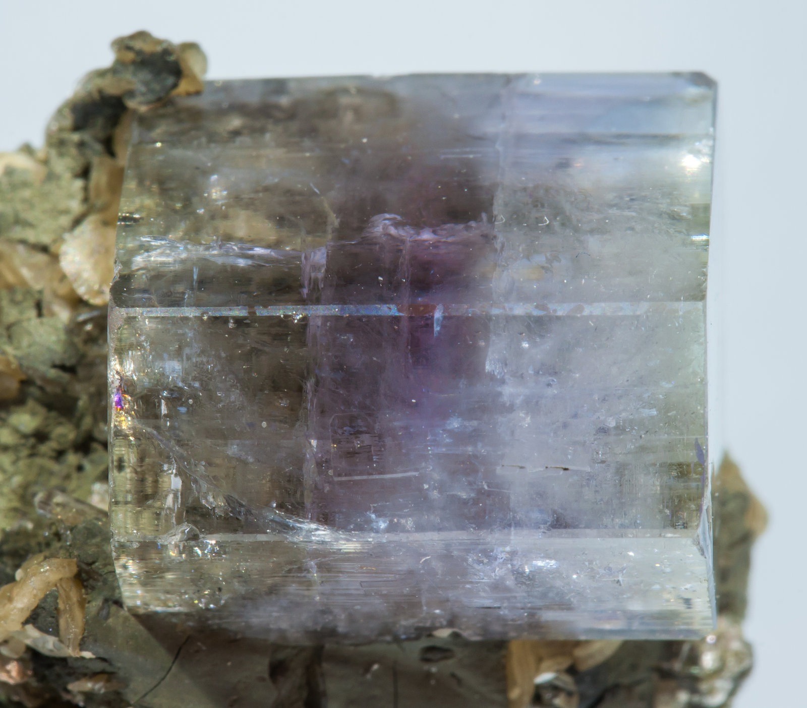 specimens/s_imagesAH7/Fluorapatite-NF66AH7d.jpg