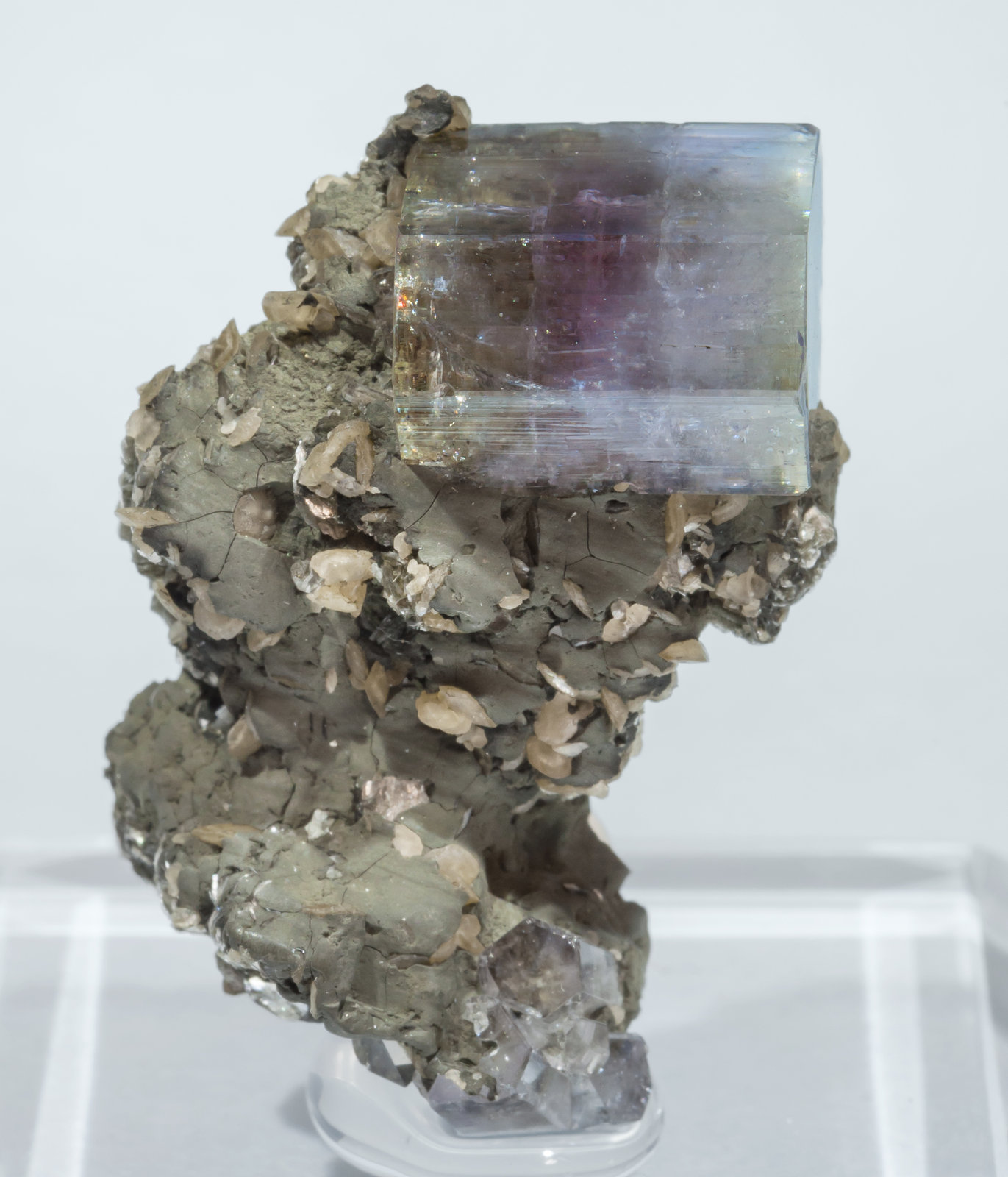 specimens/s_imagesAH7/Fluorapatite-NF66AH7f.jpg