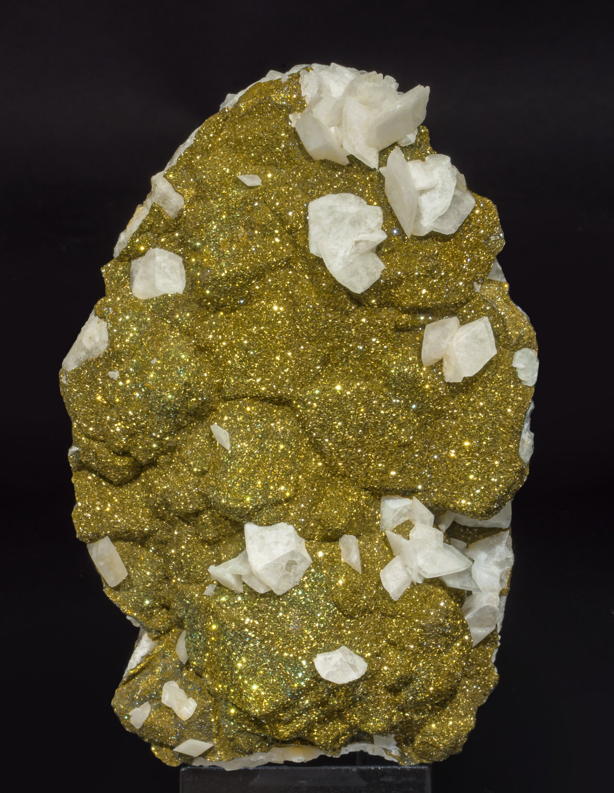 specimens/s_imagesAH7/Pyrite-MD56AH7f.jpg