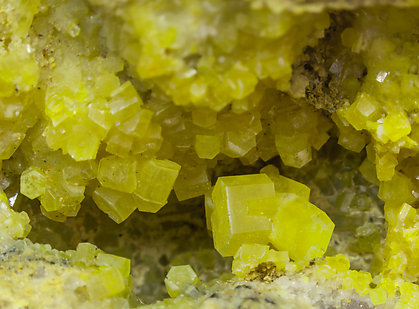 Pyromorphite. 