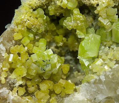 Pyromorphite. 