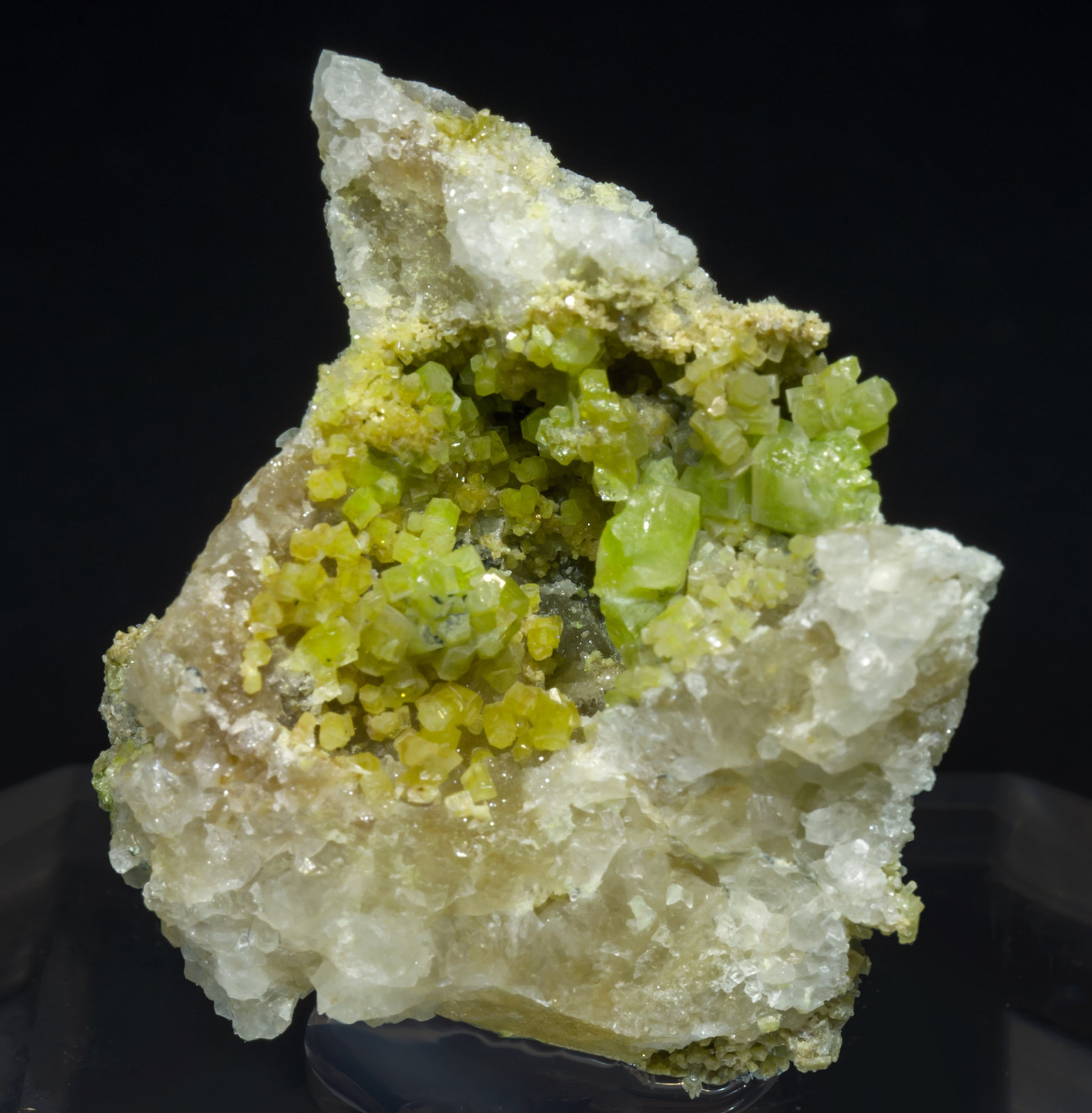 specimens/s_imagesAH7/Pyromorphite-NL58AH7f.jpg