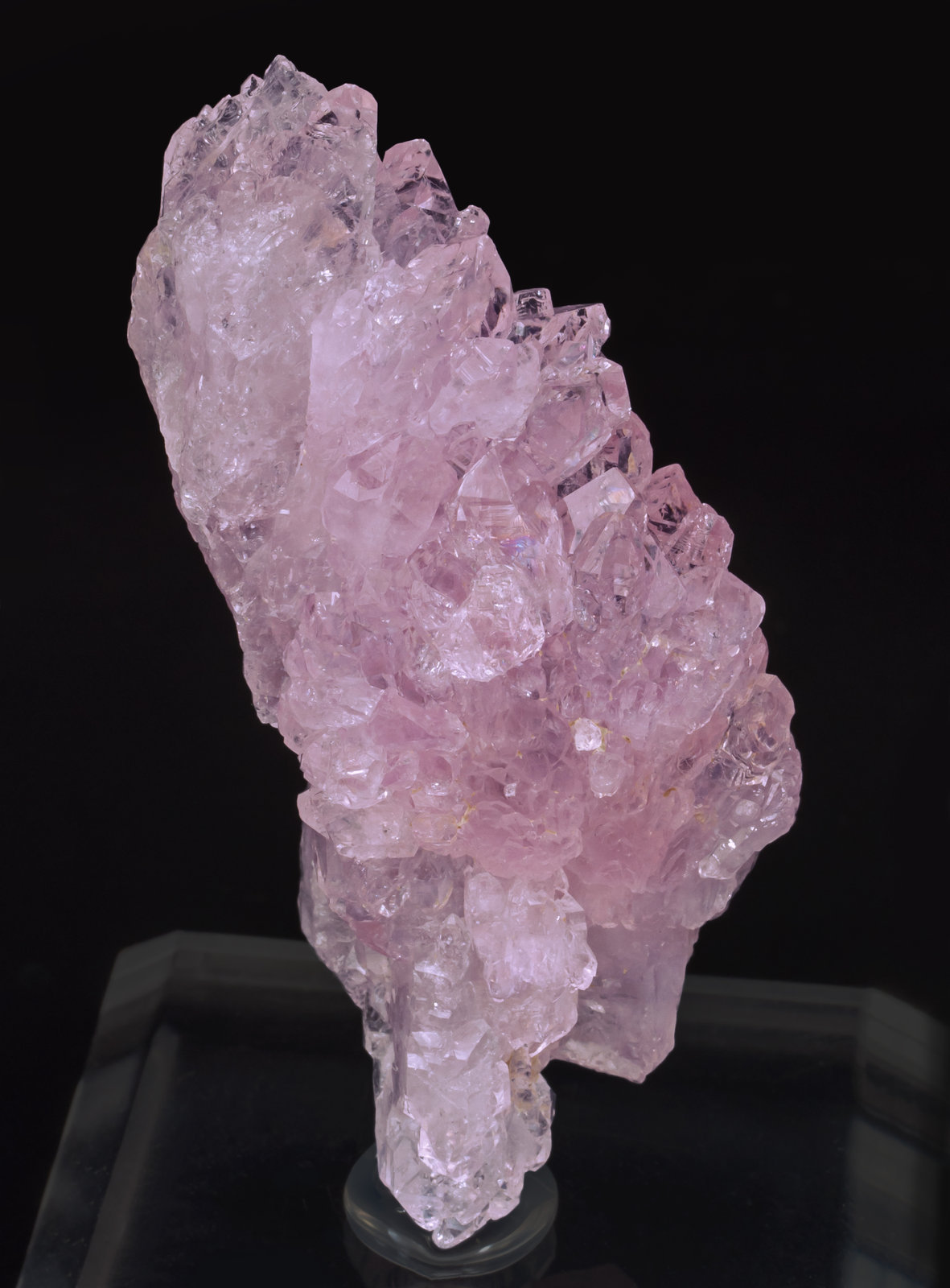specimens/s_imagesAH7/Quartz_rose-DE27AH7f.jpg