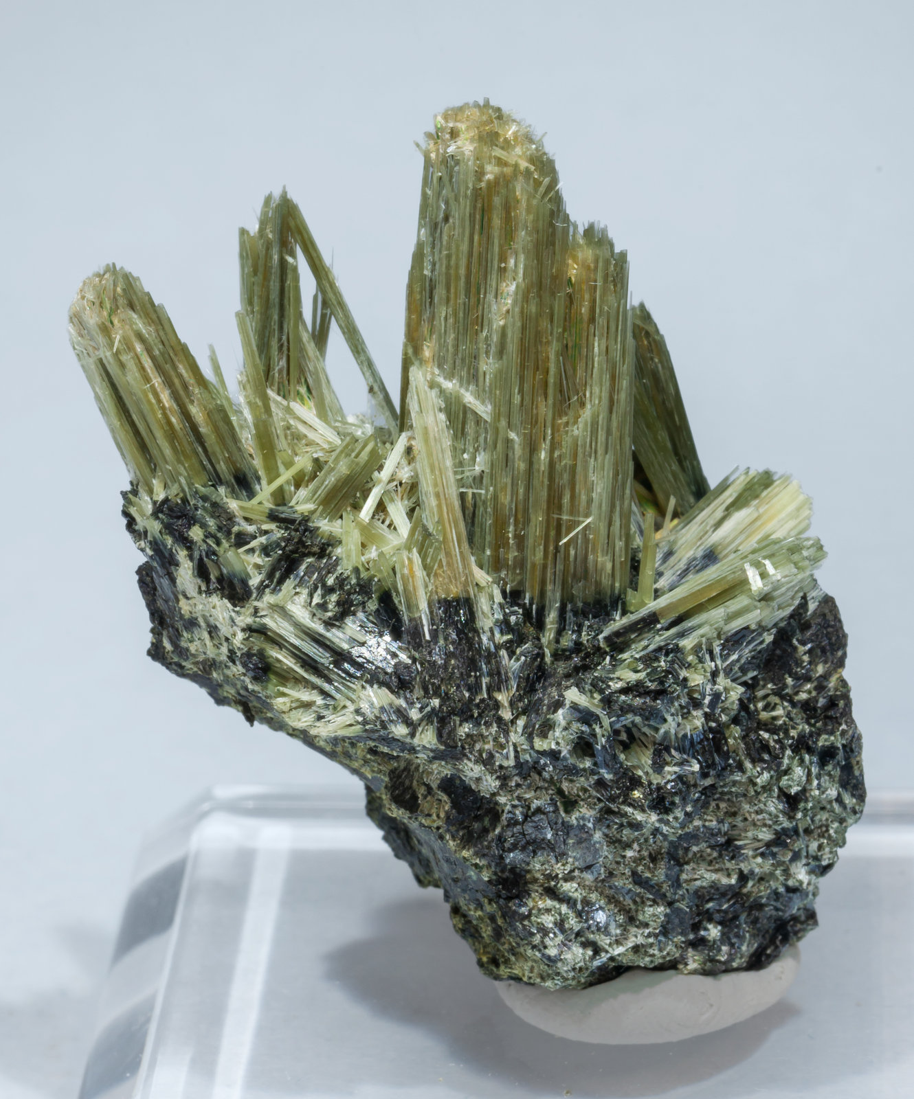 specimens/s_imagesAH8/Actinolite-EB13AH8f.jpg