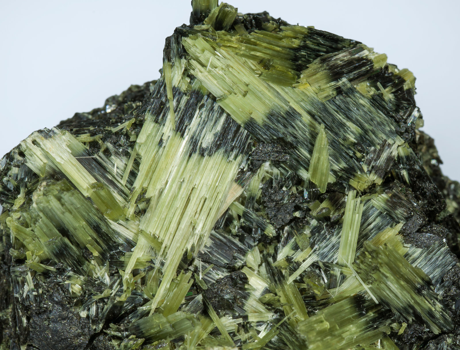 specimens/s_imagesAH8/Actinolite-EC16AH8d.jpg