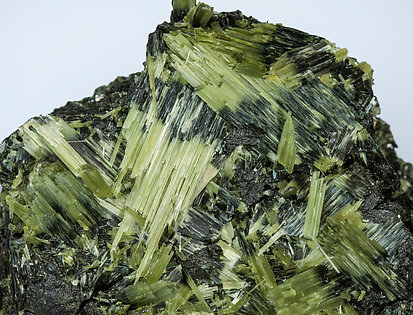 Actinolite with Ferro-actinolite. 