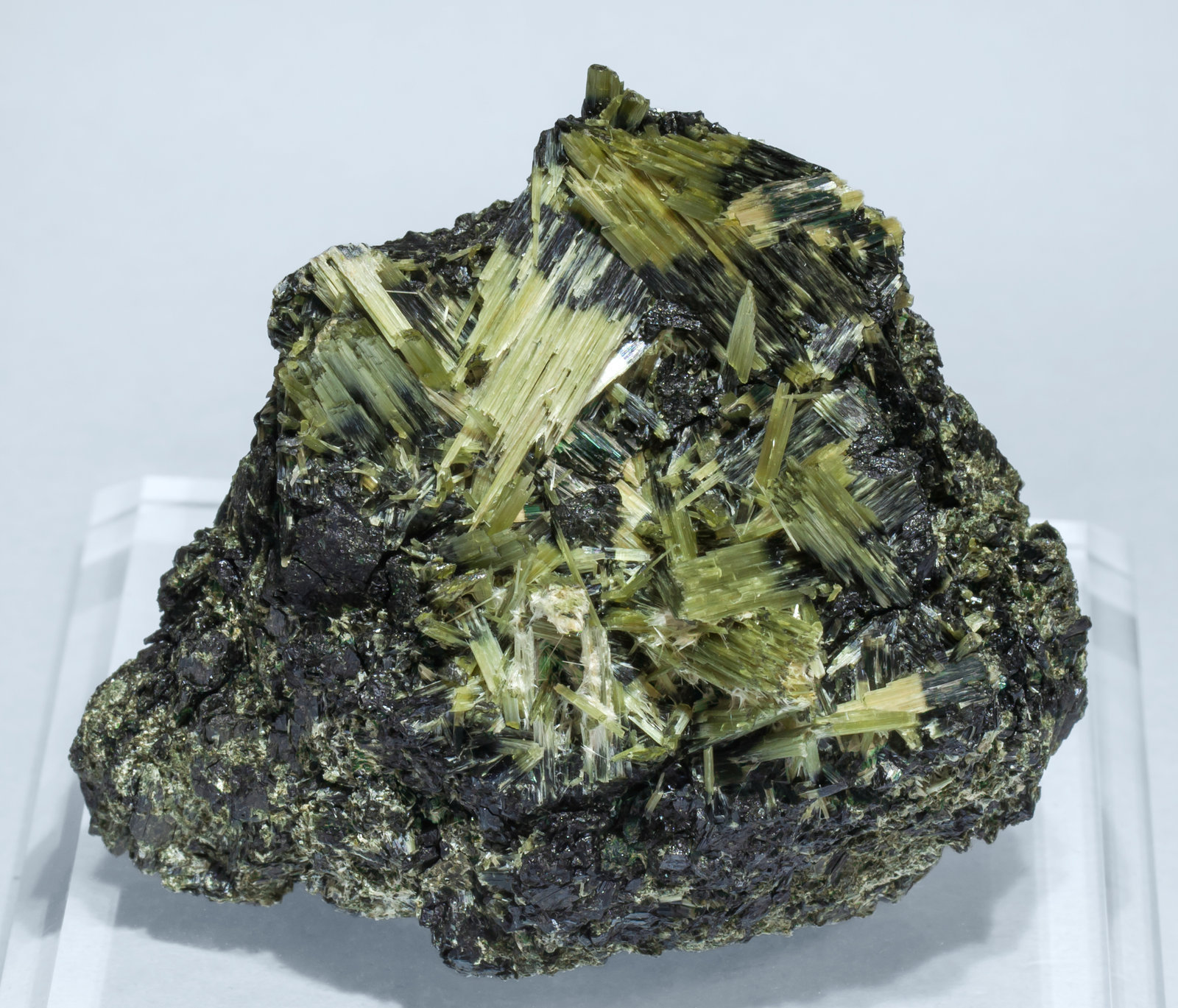 specimens/s_imagesAH8/Actinolite-EC16AH8f.jpg