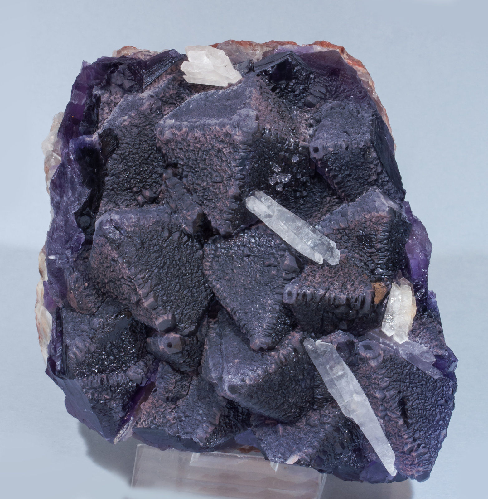 specimens/s_imagesAH9/Fluorite-EC76AH9f.jpg