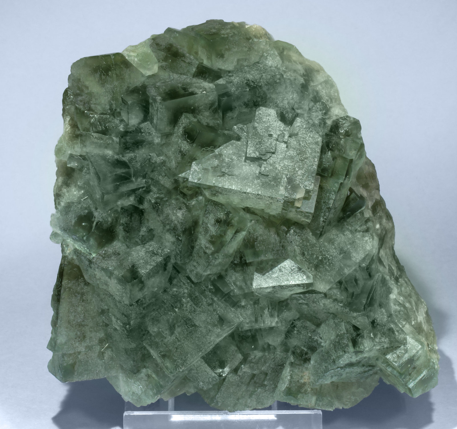 specimens/s_imagesAH9/Fluorite-EL49AH9f.jpg